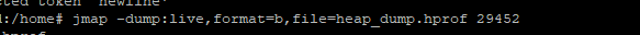 taking heap dump of java application