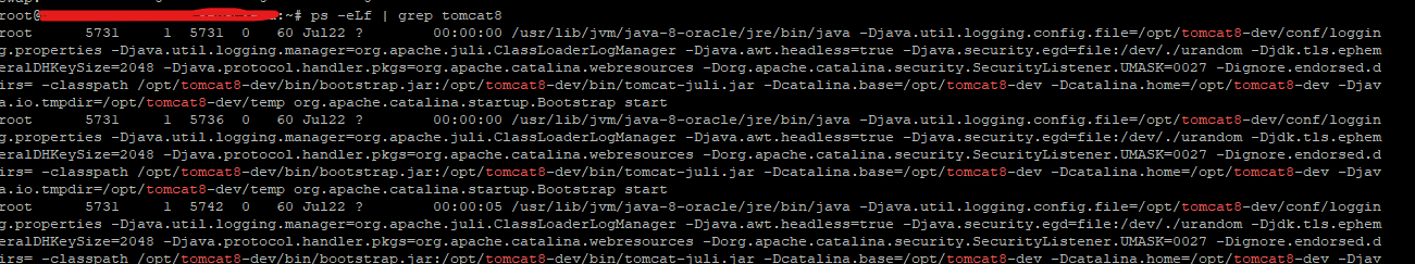 view tomcat process list